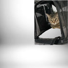 Un chat tigré beige regarde par-dessus le bord d'un **sac a dos transport chat** en filet noir, fermant une fermeture éclair sur le bord inférieur droit. Le reste de l'image est d'un mélange de blanc et de gris.
— vue 6