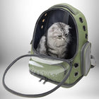Un chat gris rayé est assis dans un sac à dos voyage chat vert, avec une fenêtre transparente à travers laquelle l'animal regarde. — vue 4