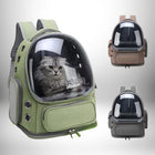 Un sac à dos voyage chat vert avec une fenêtre transparente, contenant un chat. Deux autres sacs à dos de couleurs différentes sont également présentés. — vue 2