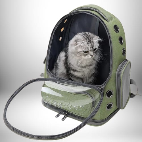 Sac à dos voyage chat - Transport respirant pour petits animaux