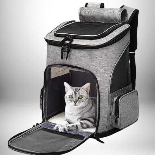 Un chat gris argenté est assis dans une cage de transport, le devant de la cage étant ouvert. La cage est une sorte de sac a dos transport chat, gris et ayant des côtés renforcés. Le sac à dos est sur un fond dégradé gris et est bien illuminé.
