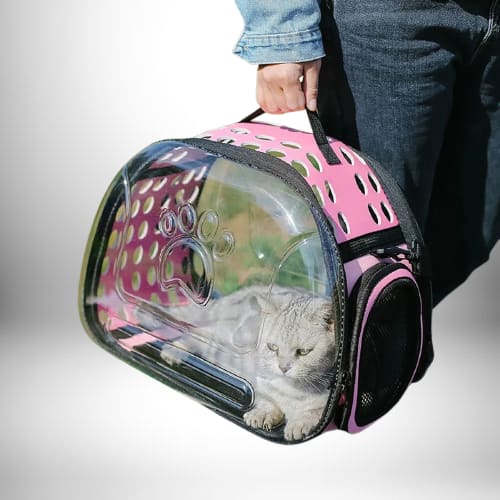 Une personne tenant un sac à dos porte chat rose et noir avec un chat gris à l'intérieur.